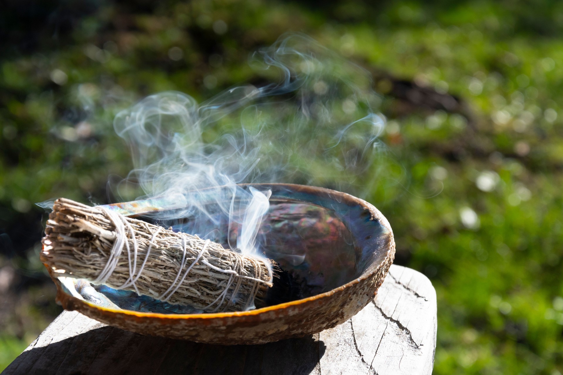 Smoldering White Sage Smudge Stick