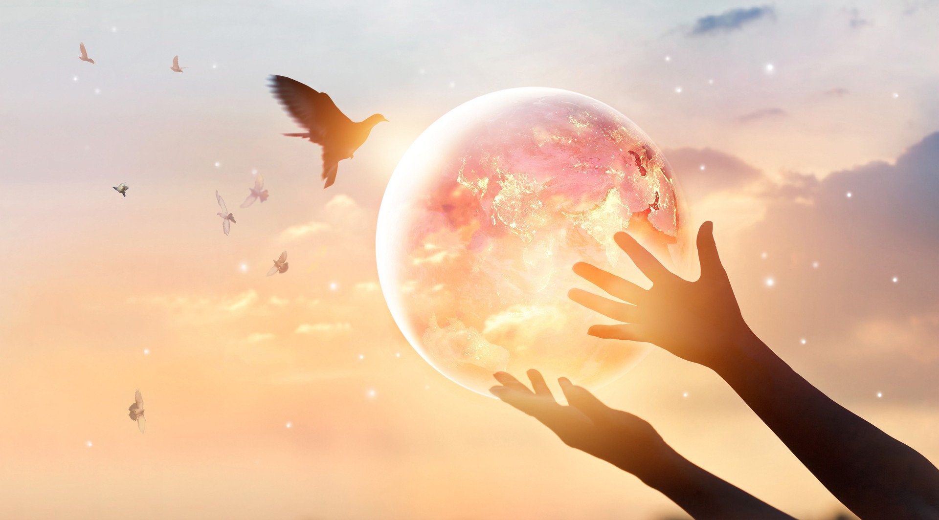 Woman touching planet earth of energy consumption of humanity at night, and free bird enjoying nature on sunset background, hope concept, Elements of this image furnished by NASA